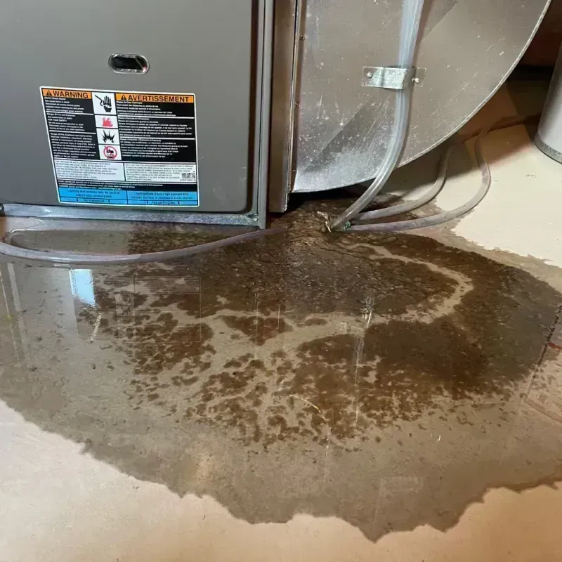 Appliance Leak Cleanup in Audrain County, MO